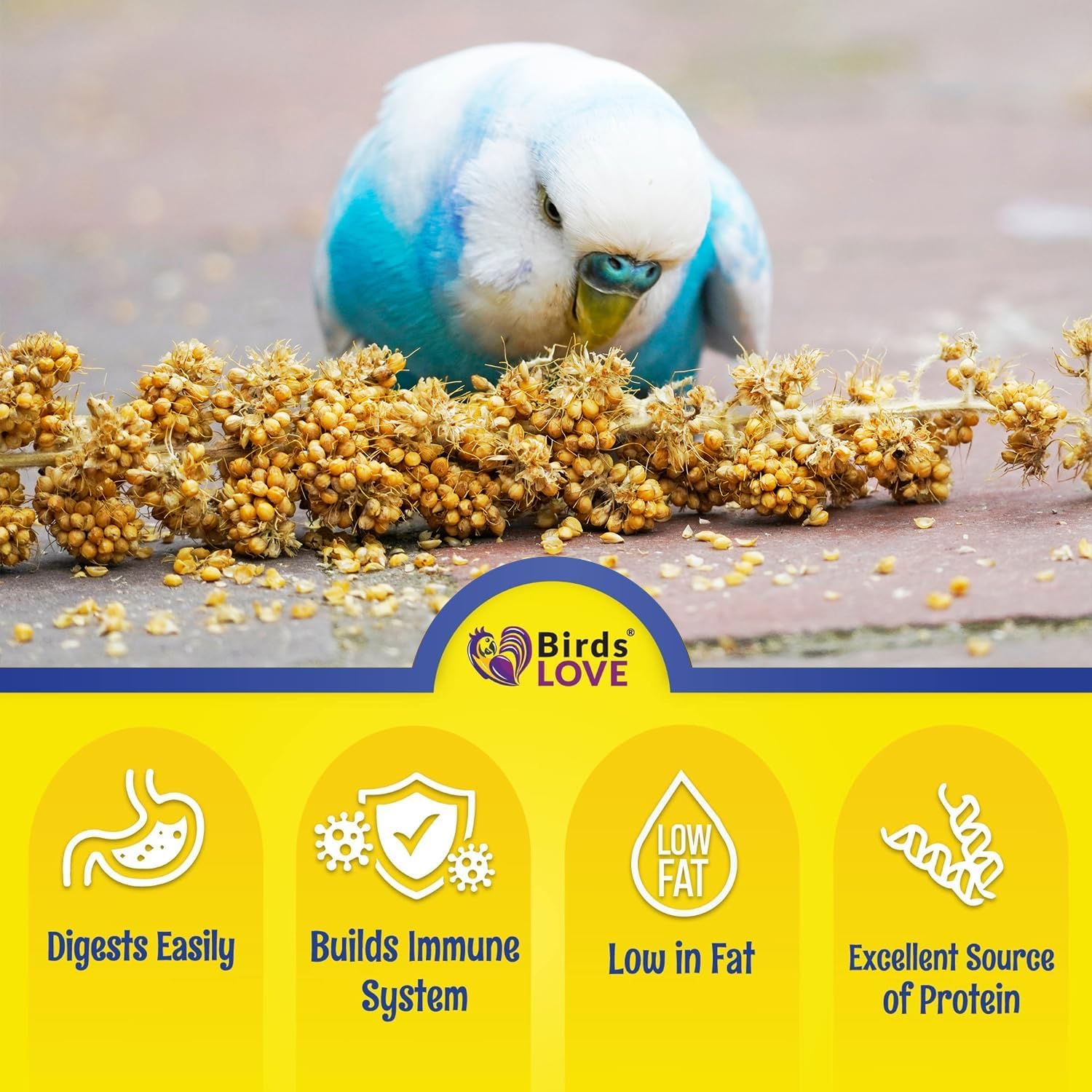 Birds LOVE Millet Tips & Tails for Birds - Parakeets, Cockatiels, Lovebirds, Finches, Budgies, Canaries, Cockatoos - Natural & H